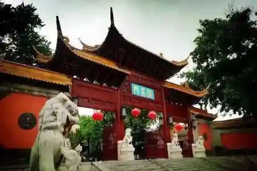 玄武阵容搭配攻略图(玄武反伤流玩法攻略)插图4