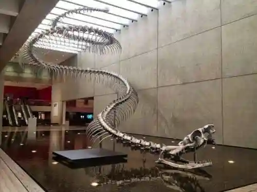 世界上最大的蛇(世界第一巨蛇)插图7
