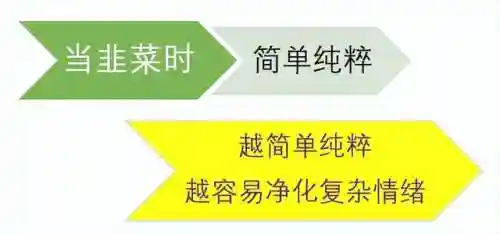 鳄鱼天赋2023(鳄鱼最新出装2024)插图7