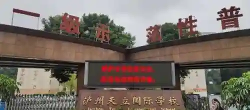 大唐无双第一土豪桃若(大唐无双桃若的好回收了吗)插图8