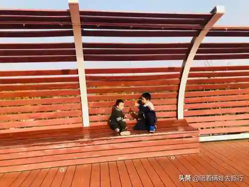 洛克王国紫藤快速获得(洛克王国紫藤150怎么弄)插图42