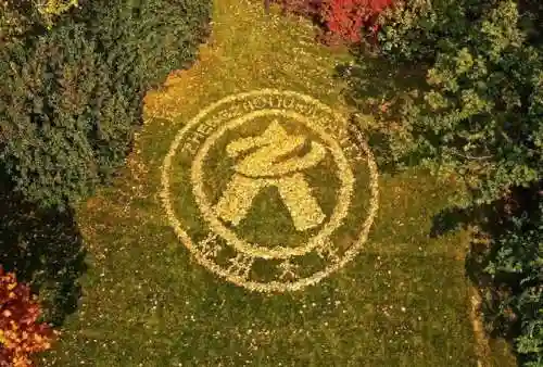 梦幻修业点经验计算器(召唤兽升级修业点计算器)插图1