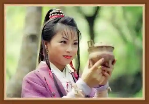 天龙八部代表八个人物(天龙八部八个主角)插图9