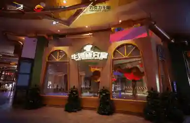 奇妙乐园滑滑梯(儿童游乐园游乐设备厂家)插图23