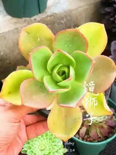 法师最牛最霸气名字(一眼就看出是玩法师的ID)插图80