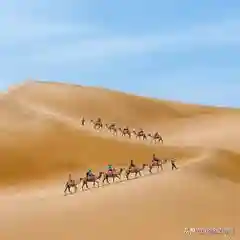 侠客风云传极乐宫剧情(侠客风云传邪线流程)插图35