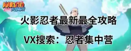 漂泊忍者推荐阵容搭配(合战忍者村最强阵容)
