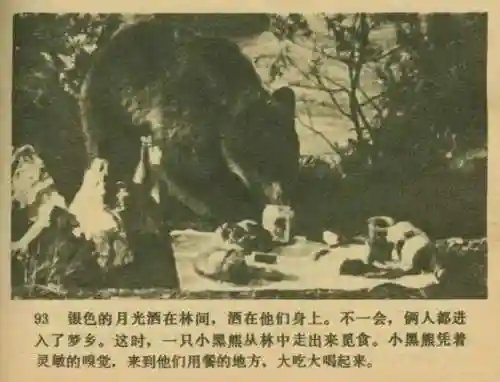 王中王马王中王资料大全(澳门王中王100%的资料)插图95