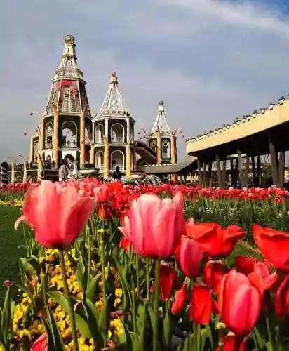 洛克王国独角兽紫藤(洛克王国紫藤150怎么弄)插图8