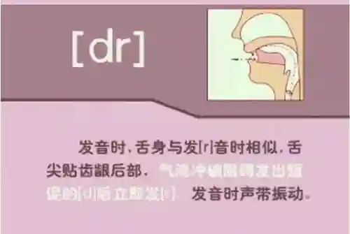英语音标发音表(48个音标大全表图片)插图48