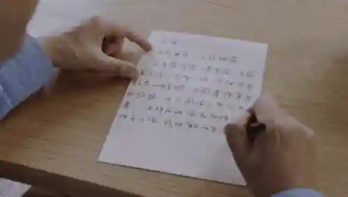 仙人掌最新阵容搭配(种仙人掌用什么土最好)插图31