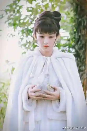 宫廷斗篷搭配阵容图片女士(古装披风斗篷女)插图30