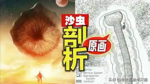 迷你世界沙虫第二形态(迷你世界被删除的Boss)插图1