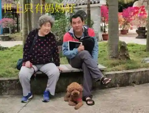 赛尔号哈莫雷特怎么获得2022(赛尔号哈莫进化图鉴)插图5