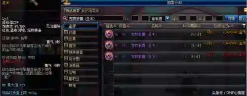 dnf拍卖行怎么买宠物(拍卖行可以买到的宠物装备)插图4