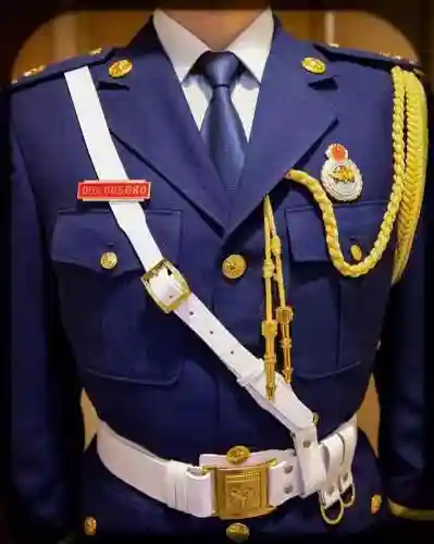 火焰家族阵容推荐搭配攻略(火毒队阵容搭配)