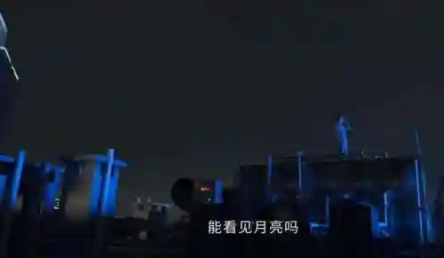 庭外演员阵容搭配(陷阵营高顺最佳阵容)插图8