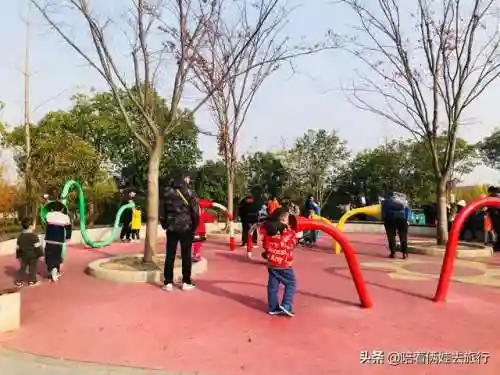 洛克王国紫藤快速获得(洛克王国紫藤150怎么弄)插图54