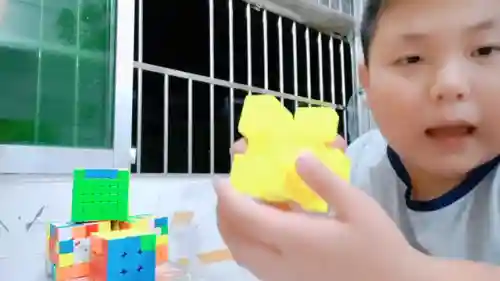 霸气五黑阵容搭配图片(双人小小黑真蛇阵容)插图3