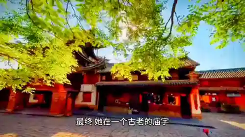 饿狼最强阵容搭配和铭文(王者荣耀5v5最强阵容)插图1