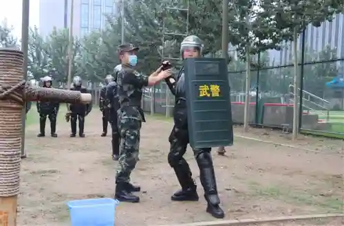 武艺夺命盾牌阵容搭配(郝昭反击盾阵容搭配推荐)插图7