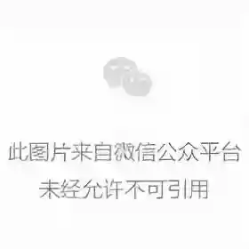 魔兽世界怀旧服美酒节奖励(魔兽世界节日活动表)插图9