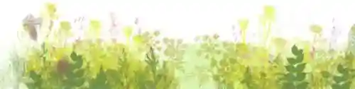 洛克王国独角兽紫藤(洛克王国紫藤150怎么弄)插图3