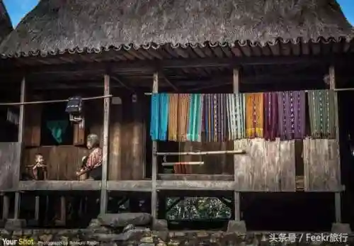 环形蜘蛛阵容搭配图解(金铲铲之战蜘蛛主c阵容)插图47
