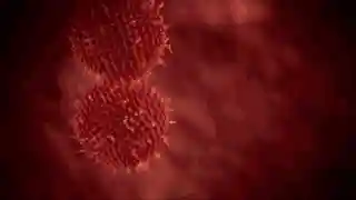吞噬细胞阵容搭配(吞噬星空黎明零氪阵容推荐)插图20