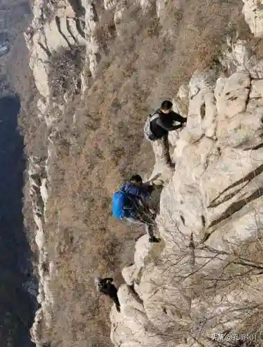 仙境游记推荐阵容搭配(歧路旅人2阵容搭配)插图15