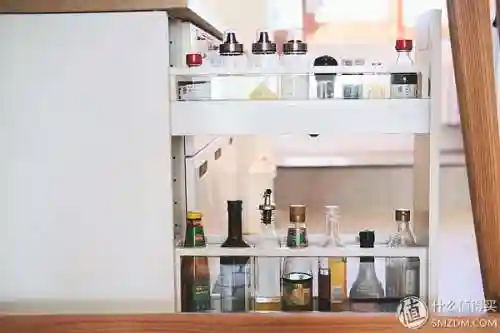 洛克号储物仓的宠物怎么捕捉(洛克号储物仓百科)插图46