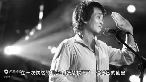 修仙阵容搭配推荐男生(男仙伙伴最新最强搭配)