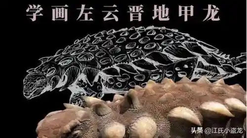 中国最后一只恐龙(中国拍到活的霸王龙)插图10