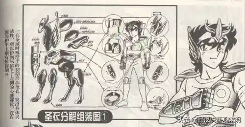 洛克王国华贵天鹅超进化(人鱼守护者怎么超进化)