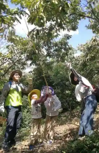 玄武阵容搭配攻略图(玄武反伤流玩法攻略)插图8