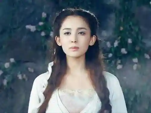 原著宇文拓爱小雪还是宁珂(宇文拓的孩子是重楼吗)