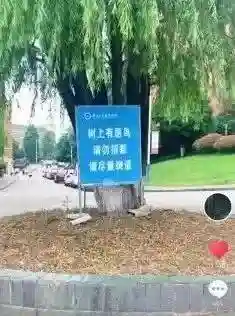愤怒的小鸟校园版(愤怒的小鸟二周年纪念版下载)插图1