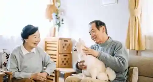 男生和女生斗地主游戏(真人视频斗地主)插图15