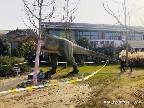 洛克王国紫藤快速获得(洛克王国紫藤150怎么弄)插图27
