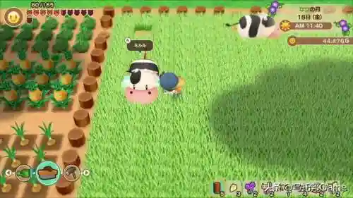 牧场物语全部版本(牧场物语最新版本是哪个)插图14
