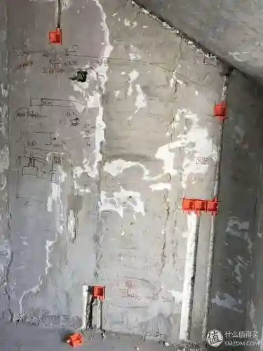 洛克号储物仓的宠物怎么捕捉(洛克号储物仓百科)插图25