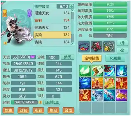 神武无常阵容搭配攻略(神武五开日常最佳阵容)插图3 神武无常阵容搭配攻略(神武五开日常最佳阵容)插图3