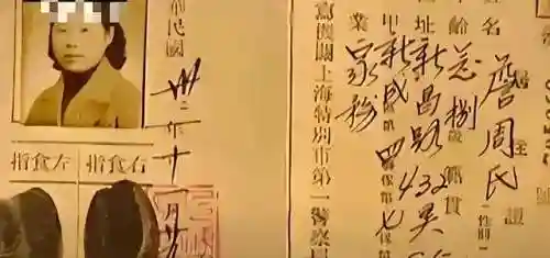 小工搭配的普通阵容(s2桃园队顶级配队阵容分享)插图22