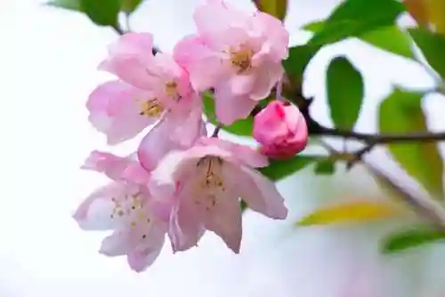 海棠线上文学城手机版(海棠文学城怎么进入)插图4 海棠线上文学城手机版(海棠文学城怎么进入)插图4
