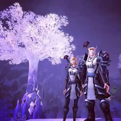 魔兽世界板甲幻化精选(wow十大板甲幻化)插图5