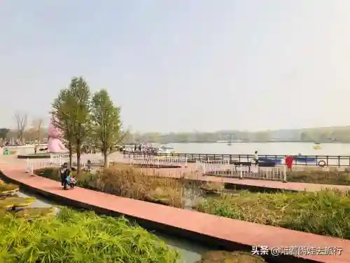洛克王国紫藤快速获得(洛克王国紫藤150怎么弄)插图4