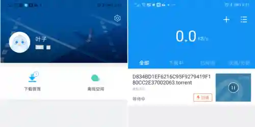 手机迅雷怎么解除敏感资源(迅雷处于审核期怎么解除)插图7