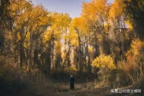 侠客风云传极乐宫剧情(侠客风云传邪线流程)插图8