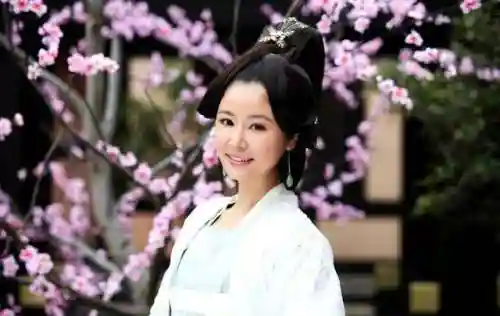 凤凰心计乐师阵容搭配(宫廷计最强阵容搭配)