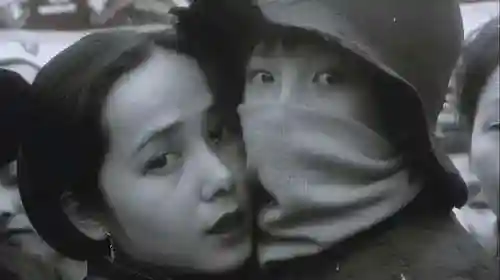 蝶衣怎么搭配阵容图片(女神蝶魂环搭配最强的输出)插图3